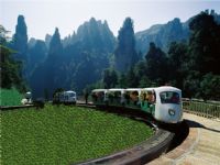 ʮ�ﮋ(hu��)��