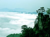 �Sʯկժ���_(t��i)